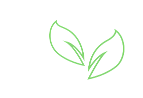 Project I worked on